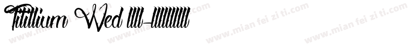 Titillium Wed 黑体字体转换